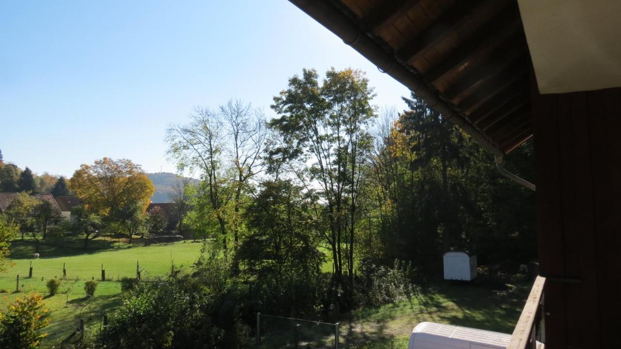 Fewo Mit Balkon Direkt Am Wald Und Wanderweg Ruhe Pur 2 Og Bad Sachsa Exteriör bild